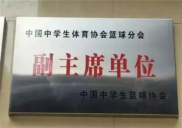 篮球训练运动技术分析论文_2