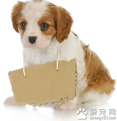 篮球训练运动技术分析论文_2